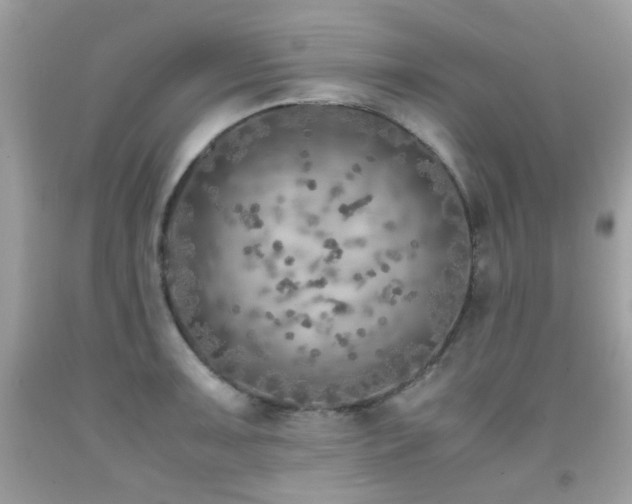 X0000091861091200709051203