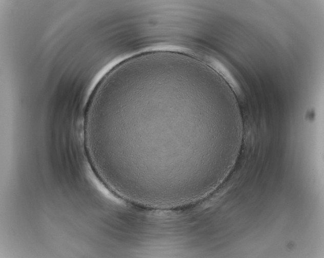 X0000091861092200709051203
