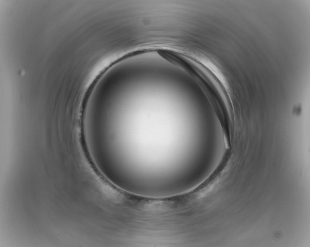 X0000091861093200709051203