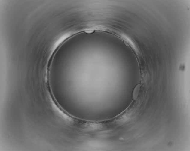 X0000091861095200709051203