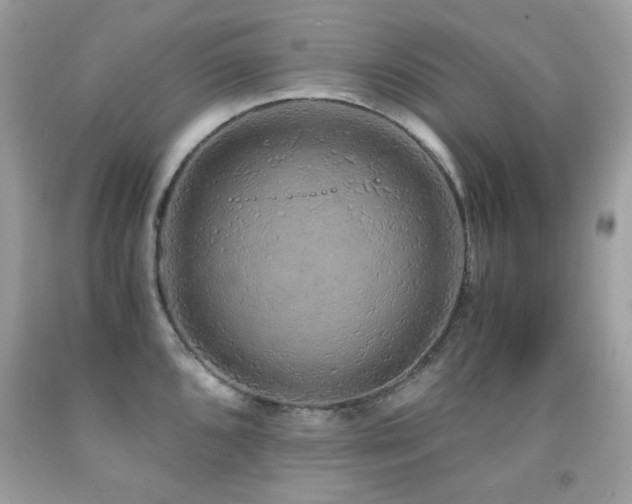 X0000091861096200709051203