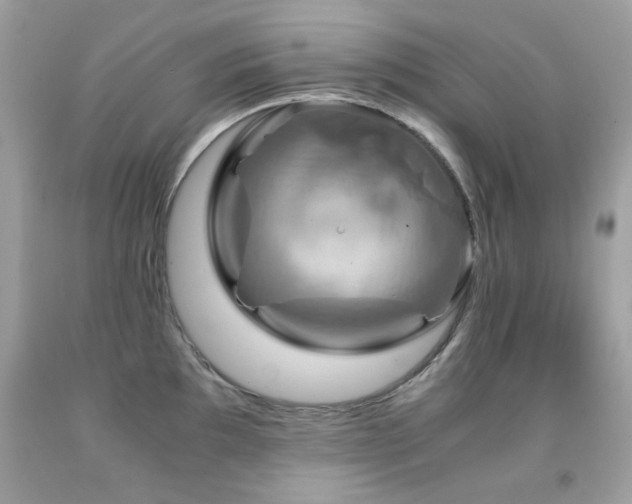 X0000091861097200709051203
