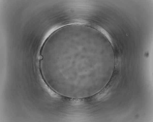 X0000091861099200709051203