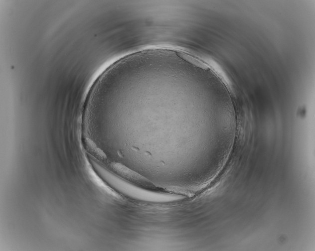 X0000091861100200709051203