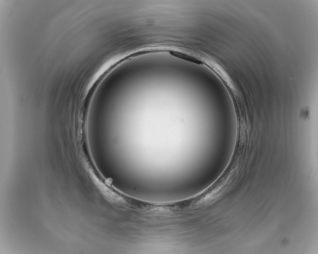 X0000091861101200709051203
