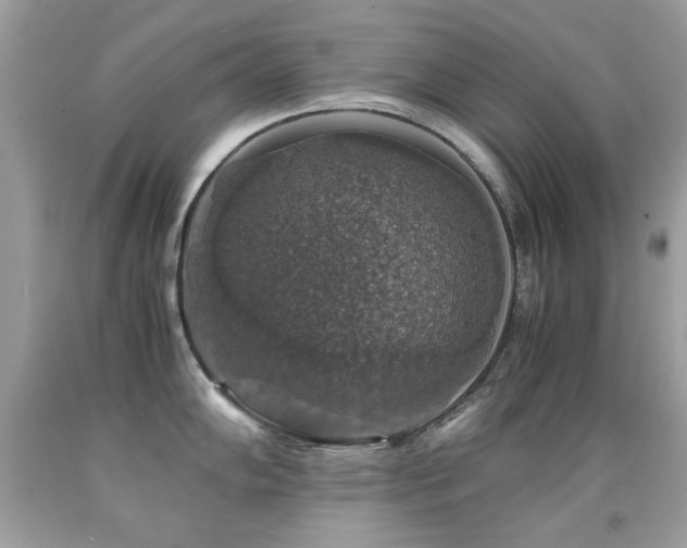 X0000091861102200709051203