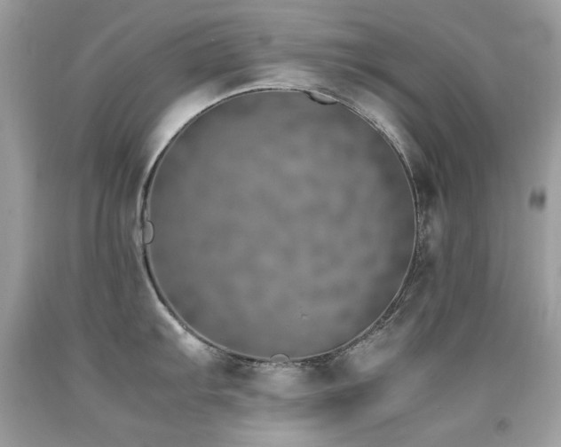 X0000091861103200709051203