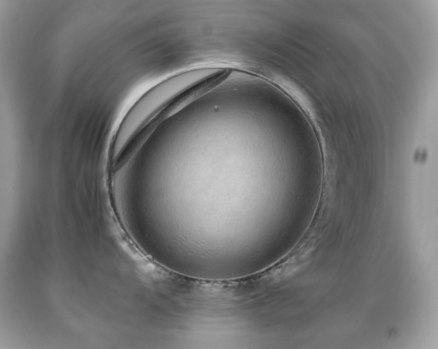 X0000091861104200709051203