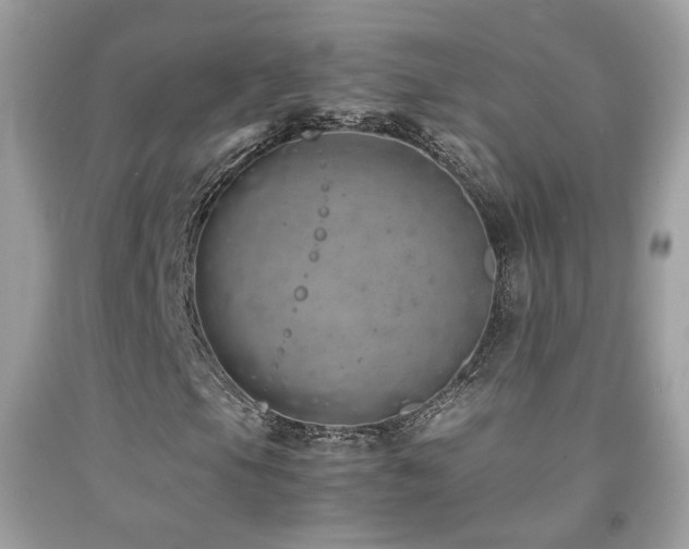 X0000091861105200709051202