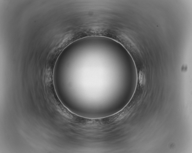 X0000091861107200709051202