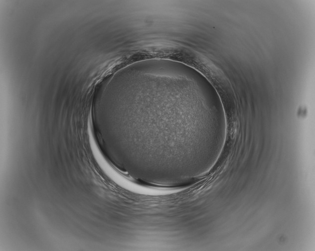 X0000091861108200709051202