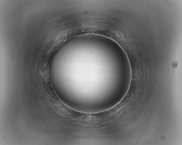 X0000091861109200709051202
