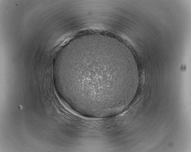 X0000091861110200709051202