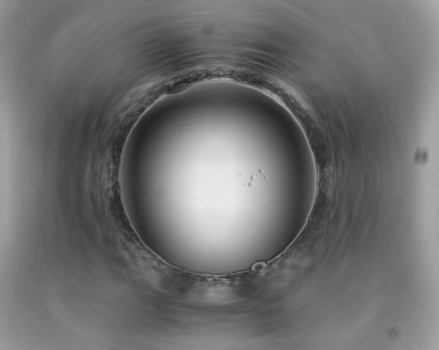 X0000091861111200709051202