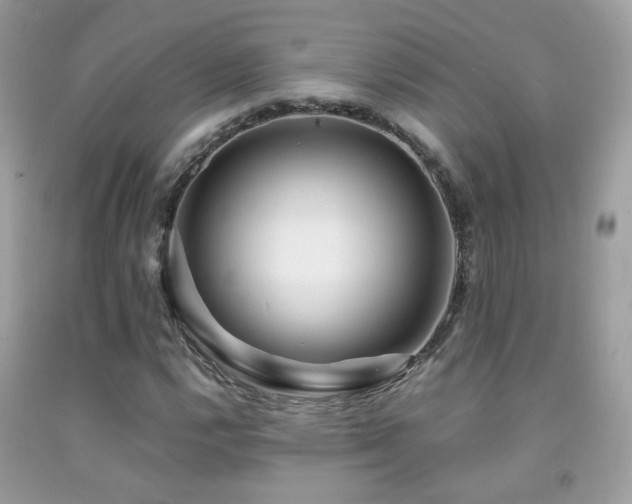 X0000091861112200709051202