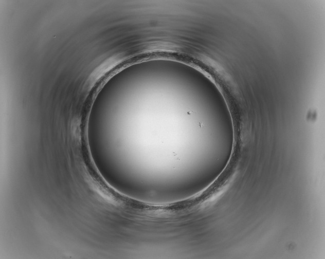 X0000091861113200709051202