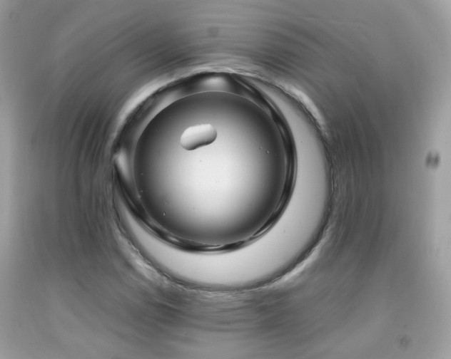 X0000091861114200709051202