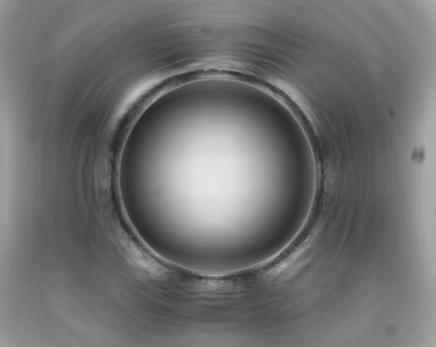 X0000091861115200709051202