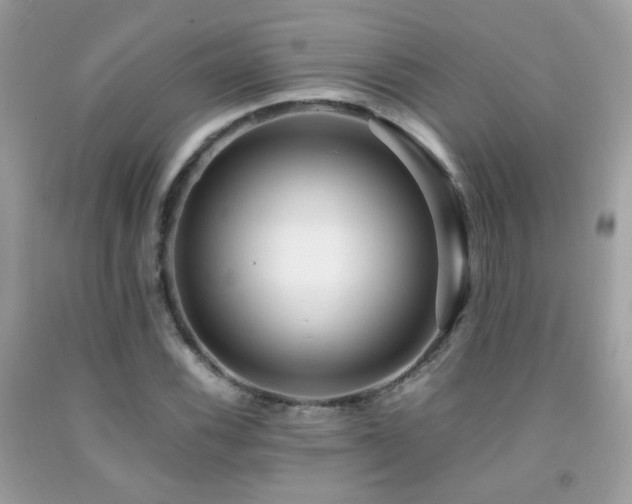 X0000091861116200709051202