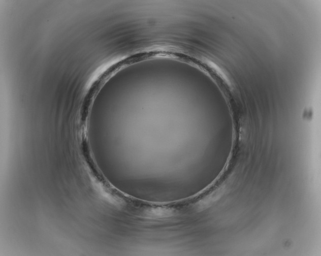 X0000091861117200709051202