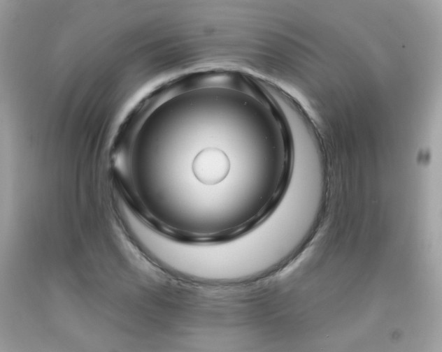 X0000091861118200709051202