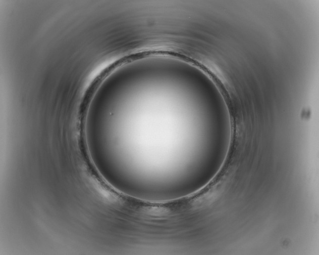 X0000091861119200709051202