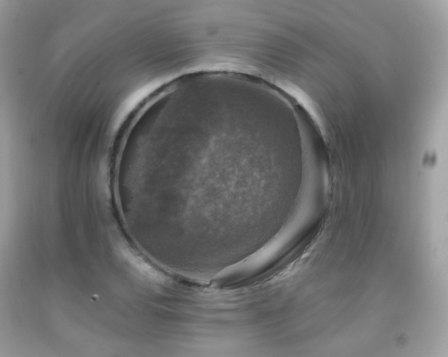 X0000091861120200709051202