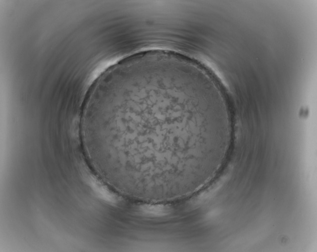 X0000091861121200709051202