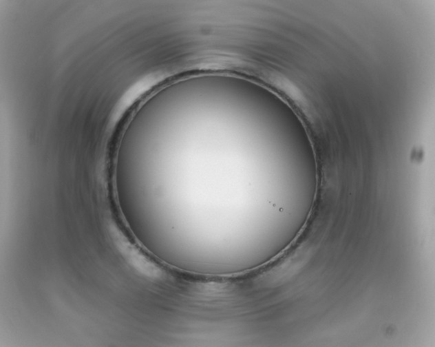 X0000091861122200709051202