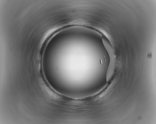 X0000091861123200709051202