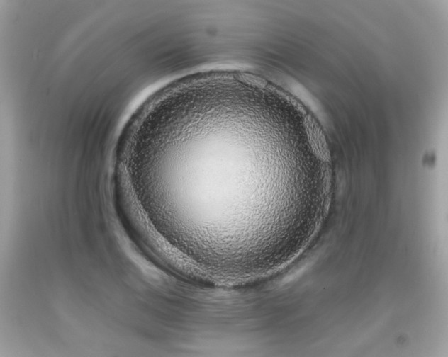 X0000091861124200709051202
