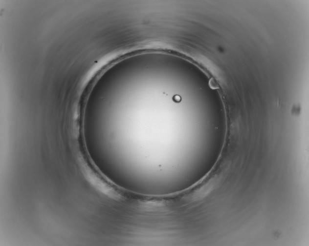 X0000091861126200709051202