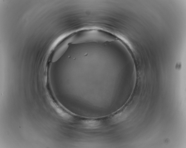 X0000091861127200709051202