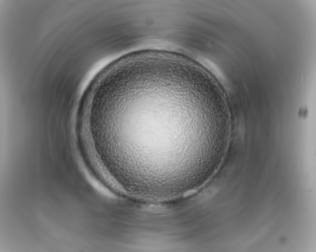 X0000091861128200709051202