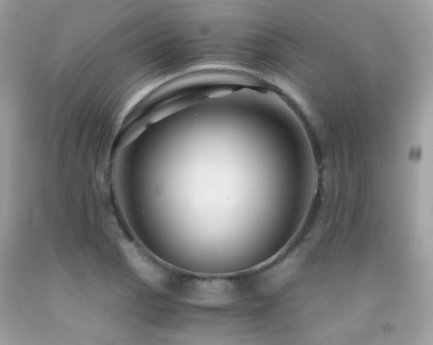 X0000091861129200709051202