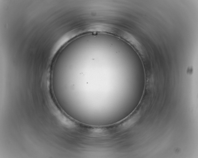 X0000091861130200709051202