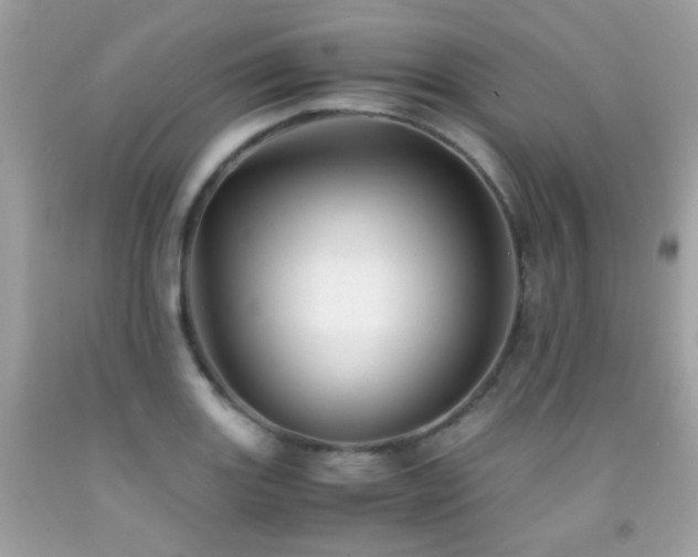 X0000091861131200709051202