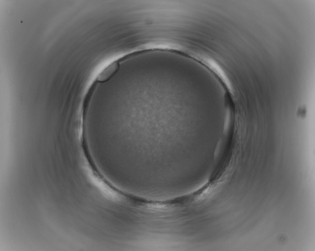 X0000091861132200709051202