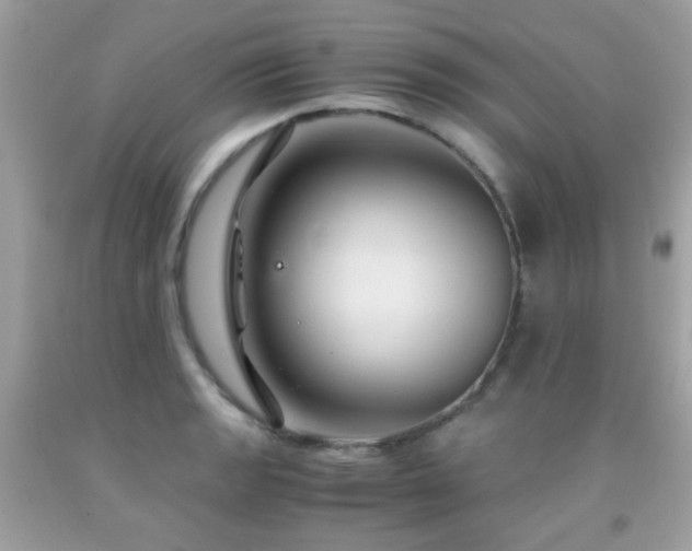 X0000091861133200709051202