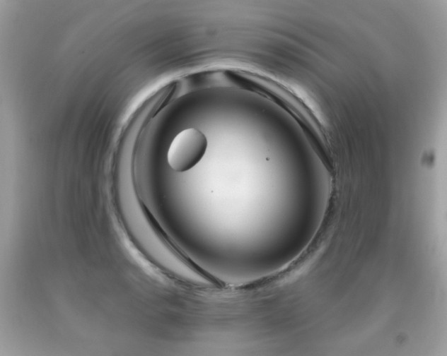 X0000091861134200709051202