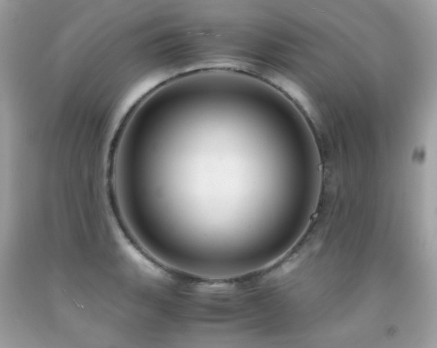 X0000091861135200709051202