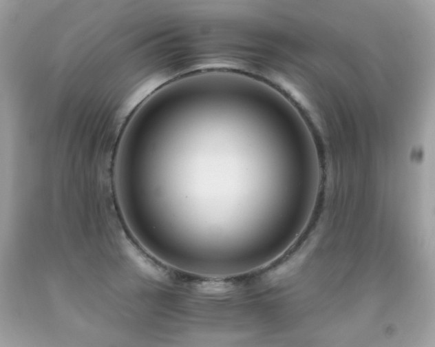 X0000091861137200709051202