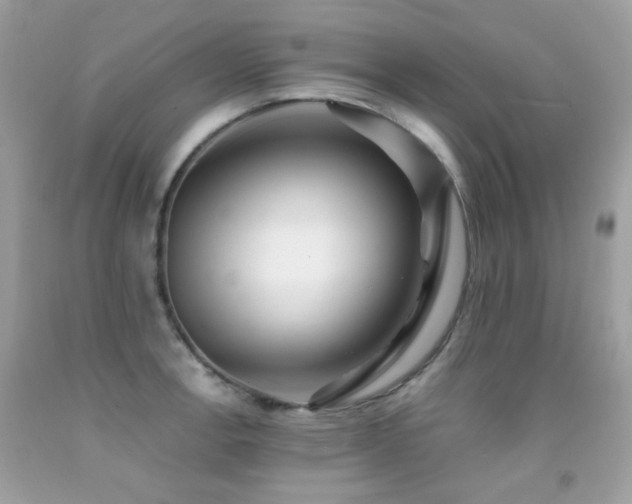 X0000091861138200709051202