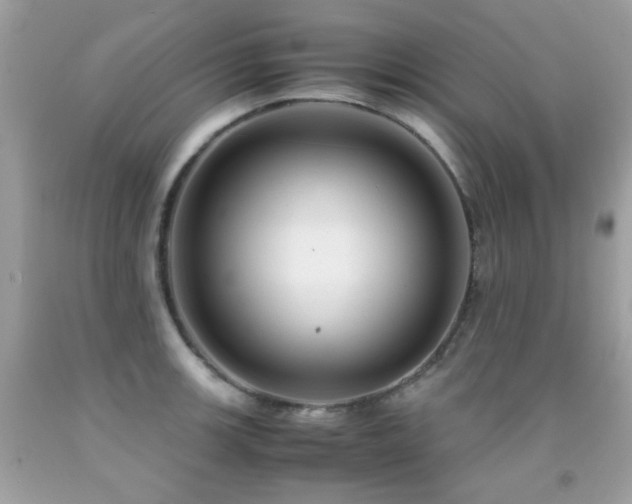 X0000091861139200709051202