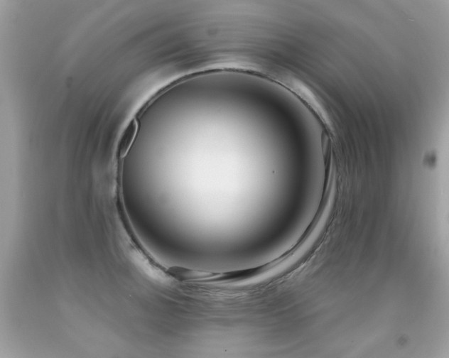 X0000091861140200709051202