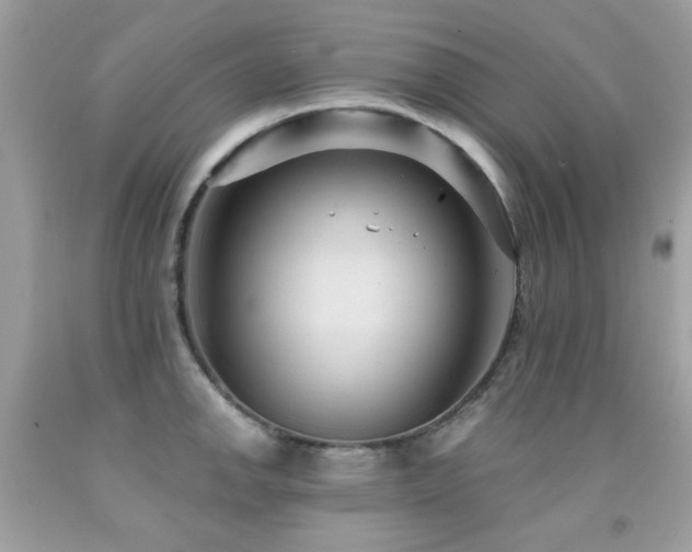 X0000091861142200709051202
