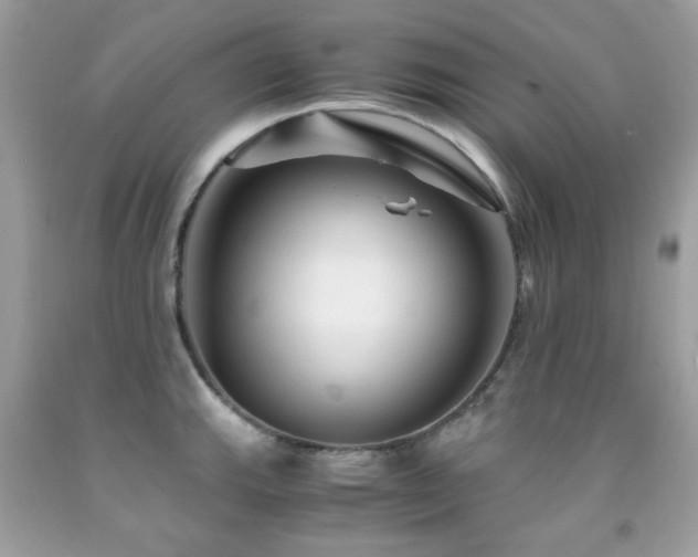 X0000091861143200709051202