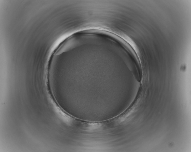 X0000091861144200709051202