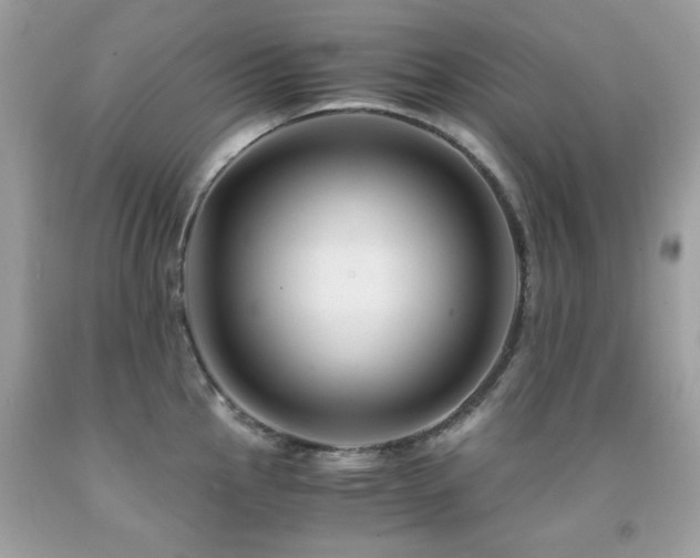 X0000091861145200709051202