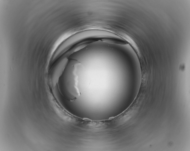 X0000091861146200709051202